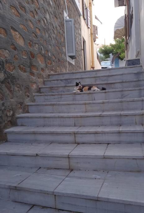Syros Stone Yard House Villa Ermoupoli Exteriör bild